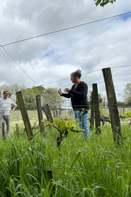 Bordeaux Backcountry E-Bike Tour With Lunch & Wine Tasting - Frequently Asked Questions