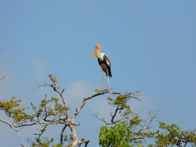 Bundala Half Day Safari PRIVATE Tours (Morning & Afternoon) - Contact and Additional Information