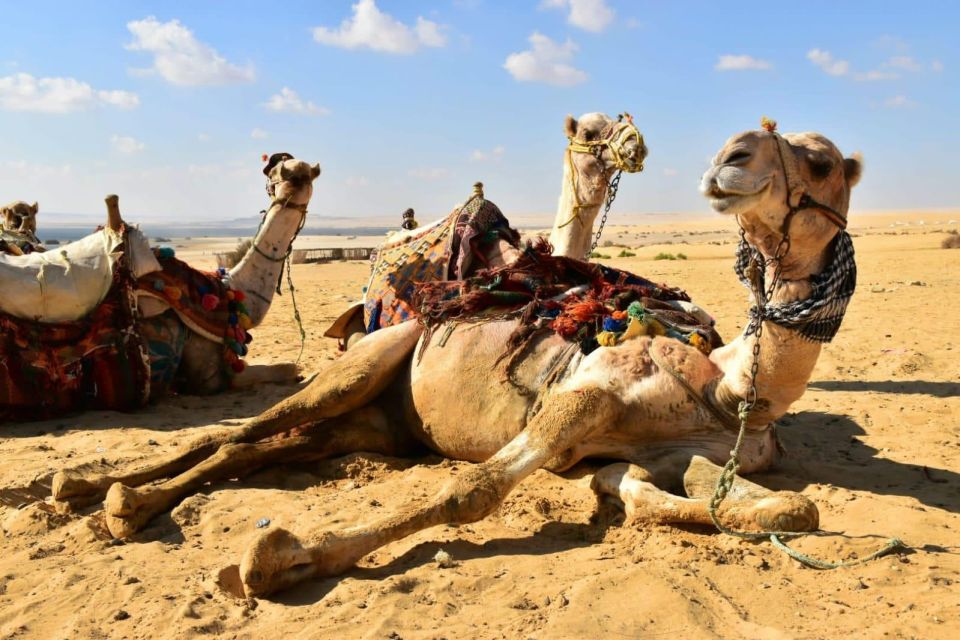 Cairo: 2-Day White Desert, Bahariya Oasis & El-Fayoum Tour - Frequently Asked Questions