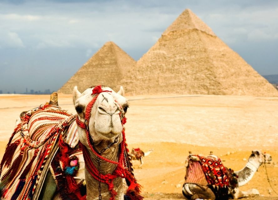 Cairo: 8-Day Nile Cruise to Aswan With Pyramids & Alexandria - Frequently Asked Questions