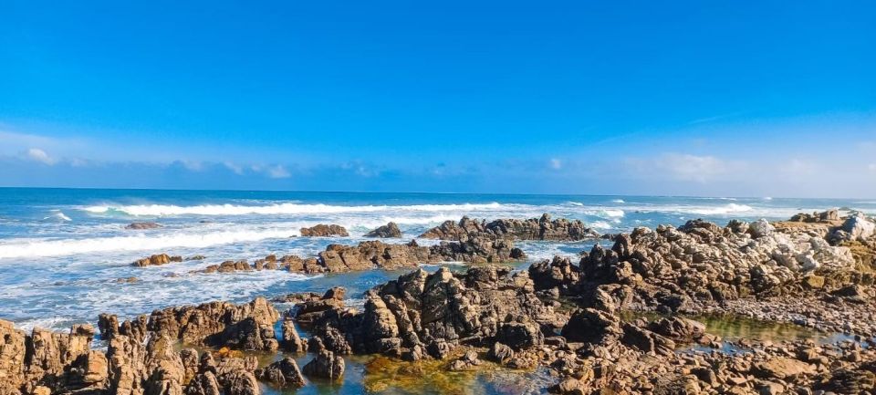 Cape Agulhas Full Day Private Tour - Frequently Asked Questions