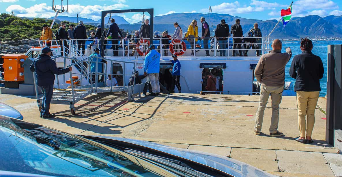 Cape Town: Hermanus Boat Cruise Whale Watching Tour - The Sum Up