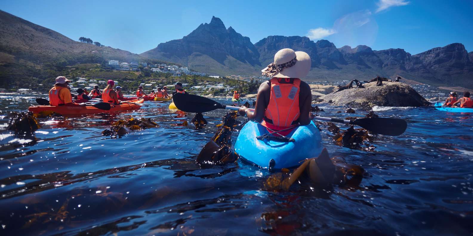 Cape Town: Private Guided Kayak Tour - The Sum Up