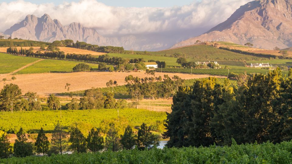 Cape Town Wine Tour (Paarl, Stellenbosch & Franschhoek) - Frequently Asked Questions