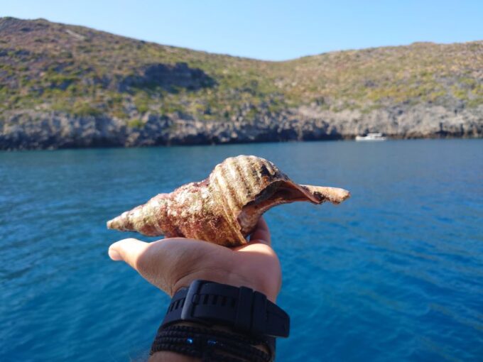 Chania: Boat Cruise to Agioi Theodoroi and Lazaretta Island - Frequently Asked Questions