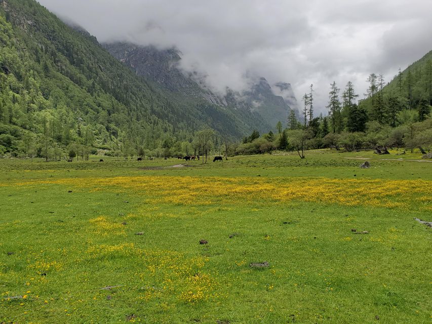 Chengdu: 6-Day Mt. Siguniang Dafeng Erfeng Climbing Tour - Frequently Asked Questions