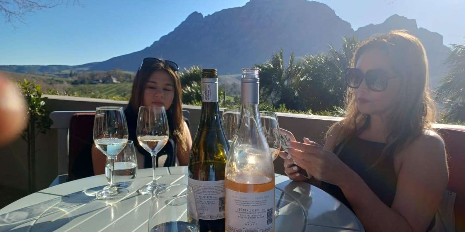 City Tour: Table Mountain, Kirstenbosch & Wine - The Sum Up