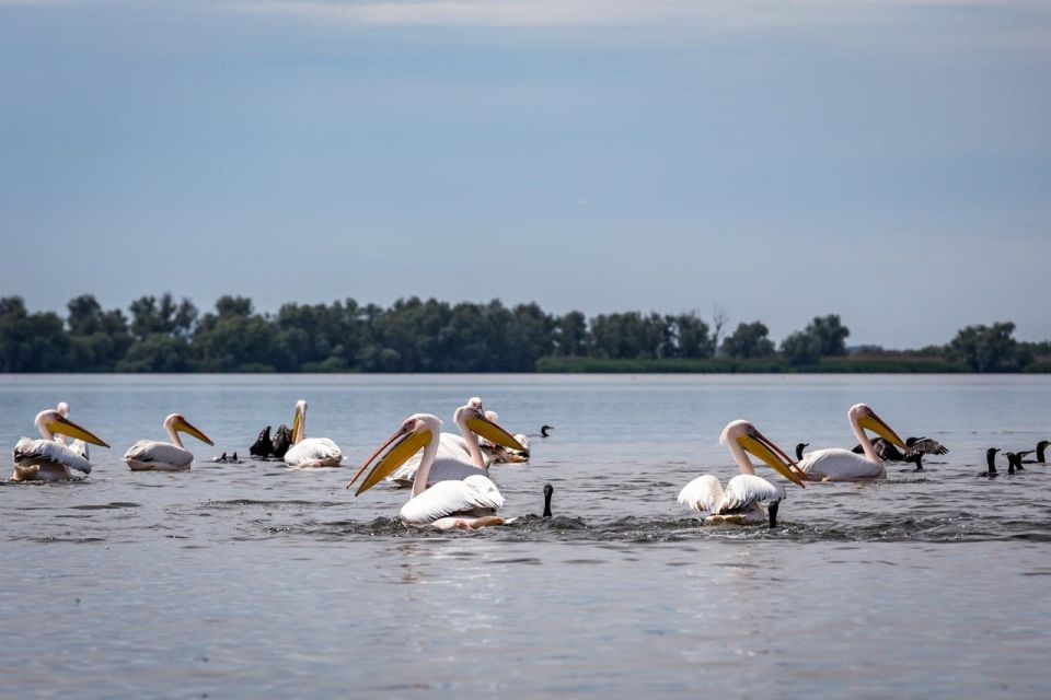 Danube Delta - 2-Day Tour From Bucharest - Frequently Asked Questions