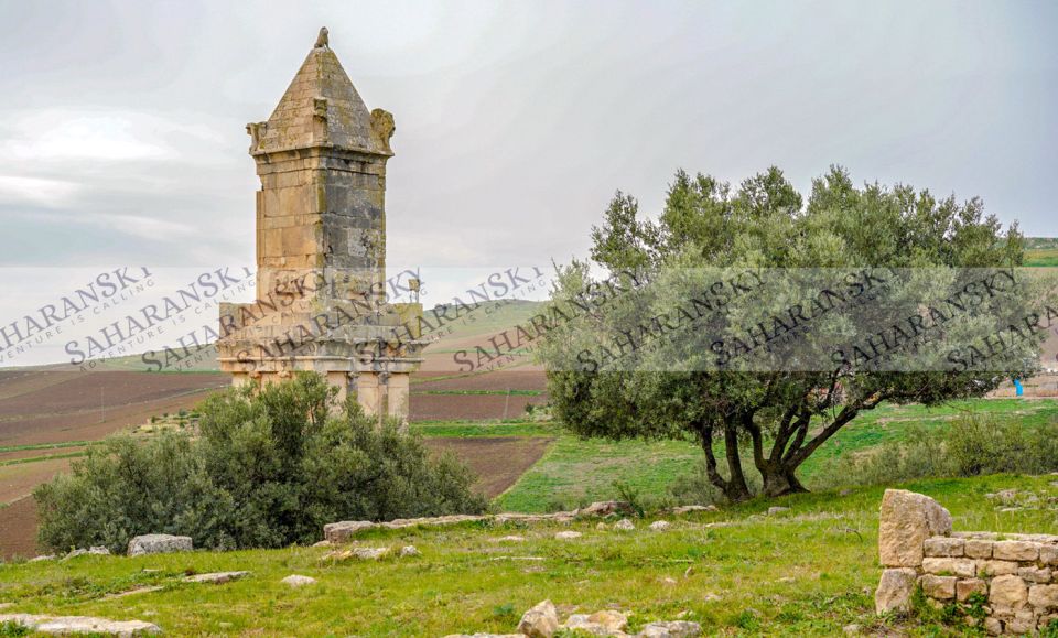 Dougga & Bulla Regia Private Full-Day Tour With Lunch - Frequently Asked Questions