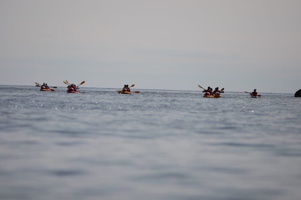 Dubrovnik: Sea Kayaking Morning, Daytime, or Sunset Tours - The Sum Up