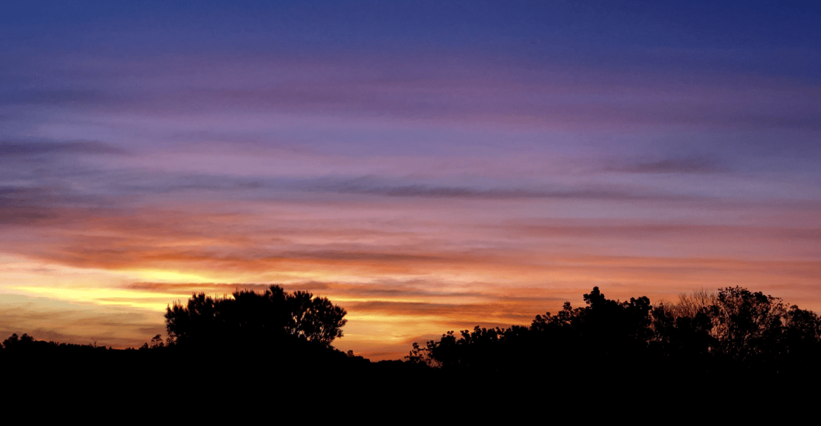 Franschhoek: 2h Horseback Riding at Sunset With Sundowners - The Sum Up