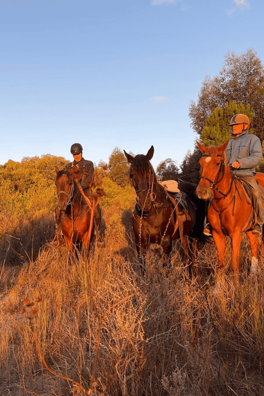 Franschhoek: Full-Day Horseback Riding and Wine Tasting Tour - The Sum Up