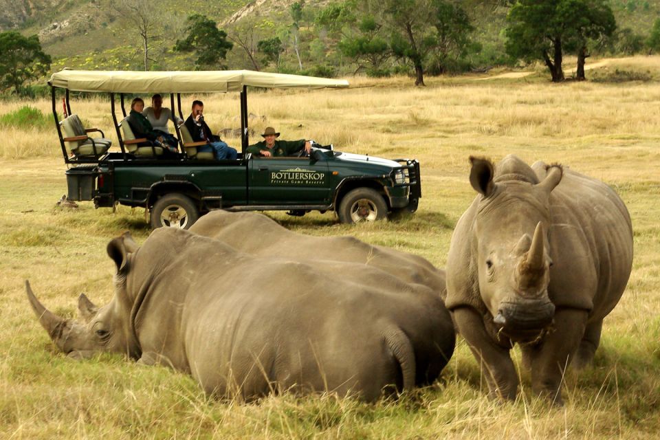 From Cape Town: 3-Day Garden Route Highlights and 4x4 Safari - Frequently Asked Questions