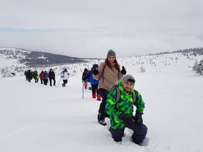 From Cluj: Winter Walking Trip on the Great Mountain - Frequently Asked Questions