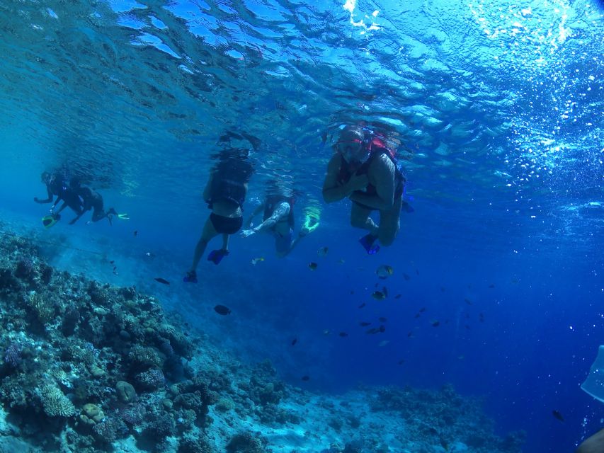 From Soma Bay and Makadi: Sharm El Naga Snorkeling Trip - Frequently Asked Questions