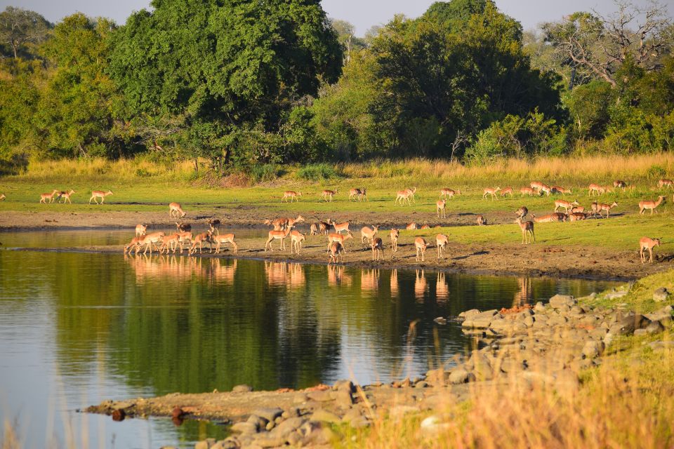 Full-Day Private Big 5 Safari in Kruger National Park - Frequently Asked Questions