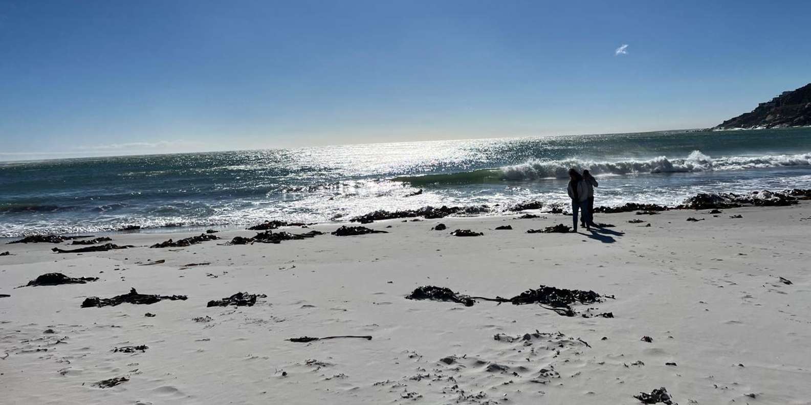 Full-Day Private Cape Town's Most Beautiful Beaches Tour - The Sum Up