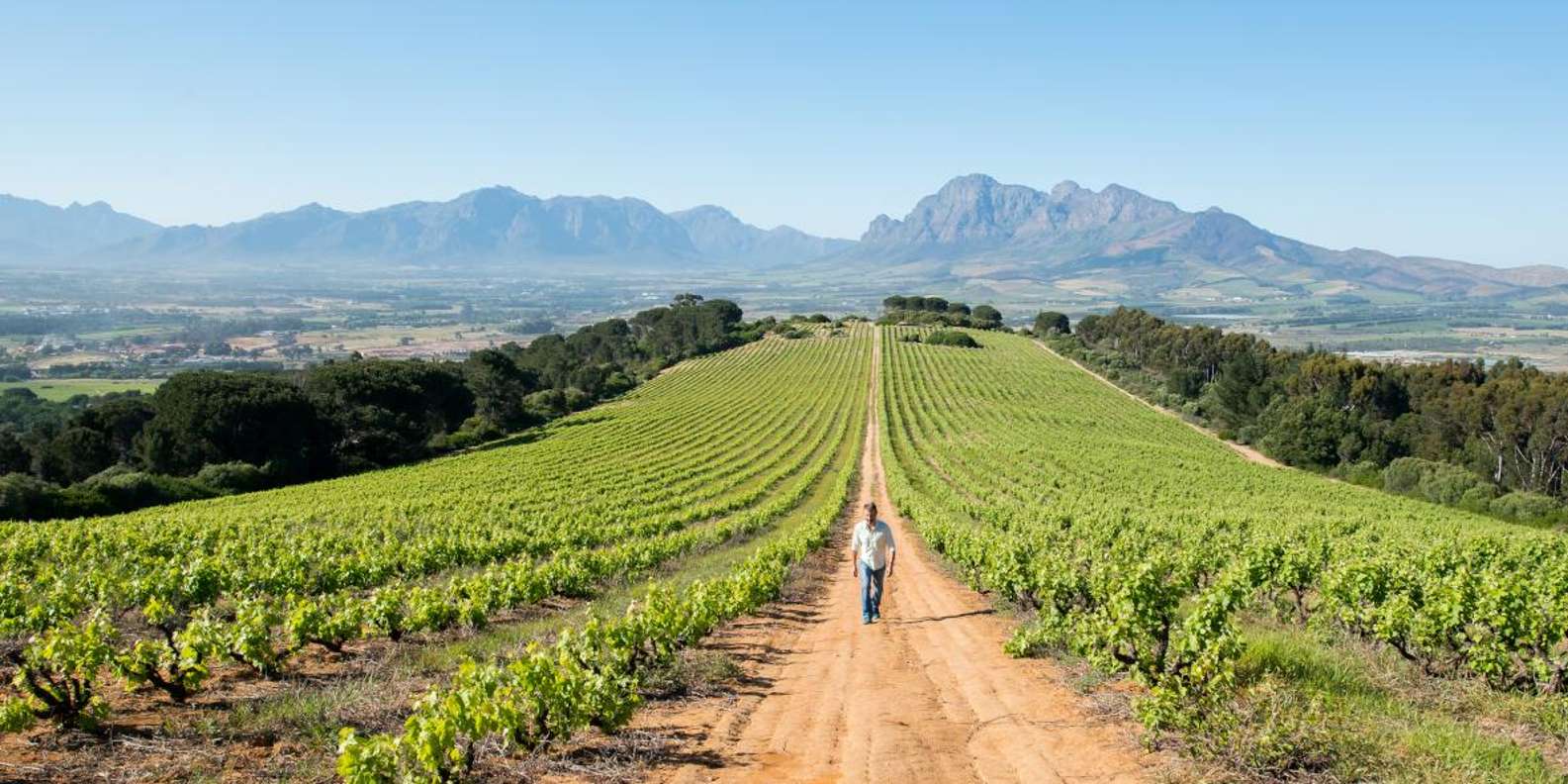 Full Day Winelands Tour - The Sum Up