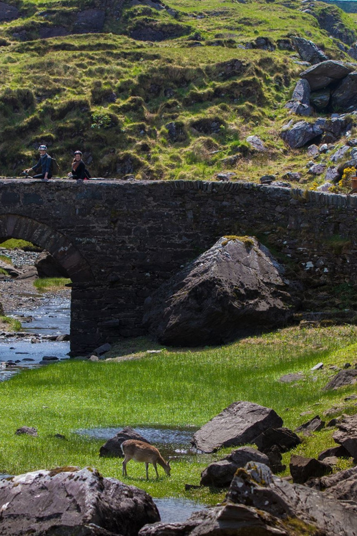 Gap of Dunloe & Lakes of Killlarney Boat Tour - Frequently Asked Questions