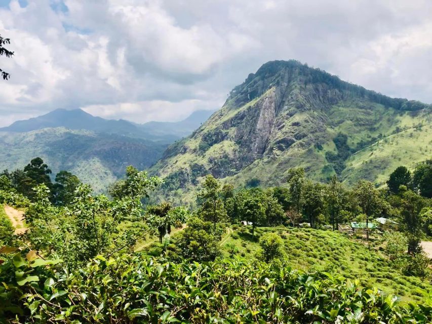 Hill Country Wonders & Cultural Hotspots in Sri Lanka - Frequently Asked Questions