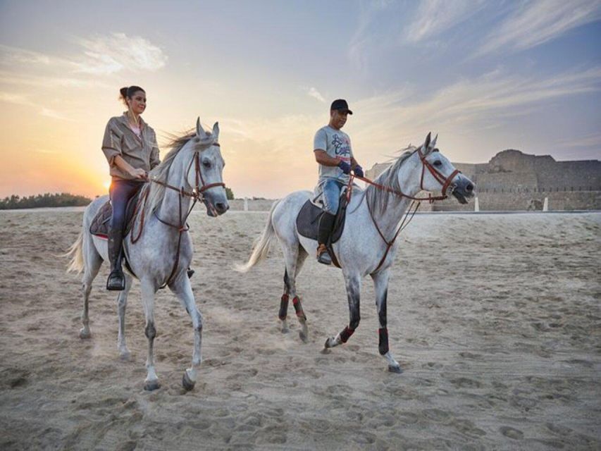 Hurghada: Desert and Sea Horseback Riding Tour With Transfer - Frequently Asked Questions