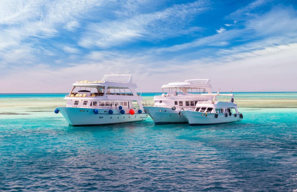 Hurghada: Diving and Snorkeling Tour With Transfers - The Sum Up