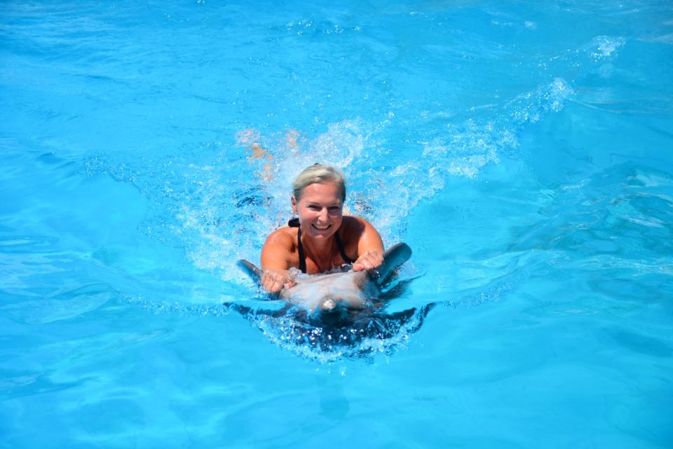 Hurghada: Dolphin World Private Swimming With Pickup - Frequently Asked Questions