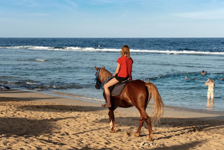 Hurghada: Horse Ride Along the Sea & Desert With Transfers - The Sum Up