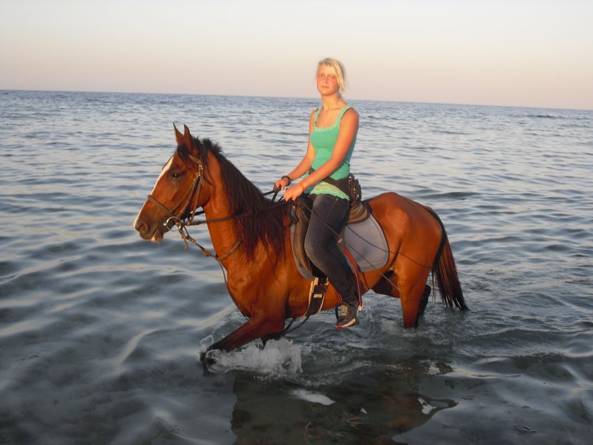 Hurghada: Sea & Desert Horse Tour, Stargazing, Dinner & Show - Frequently Asked Questions