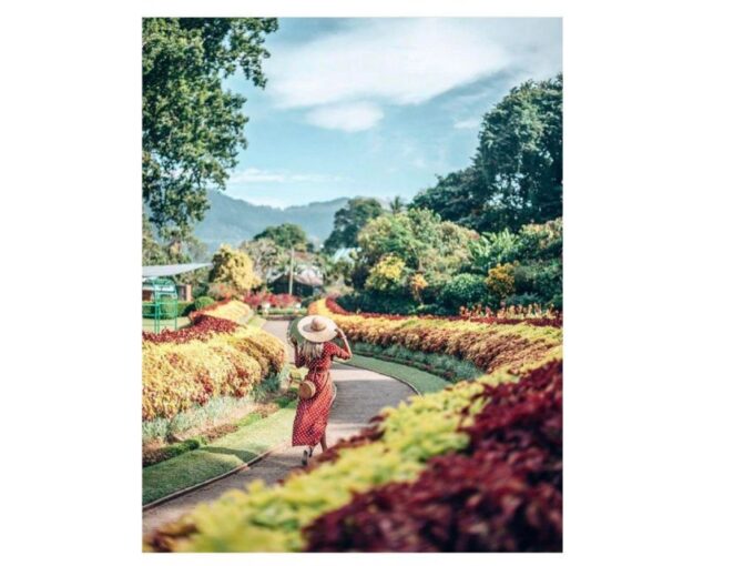 Kandy : City Tuk Tuk Day Tours (By Local Guide) - Frequently Asked Questions