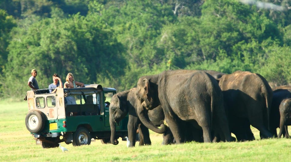 Kandy: Sigiriya, Dambulla,Minneriya National Park Day Tour - Frequently Asked Questions