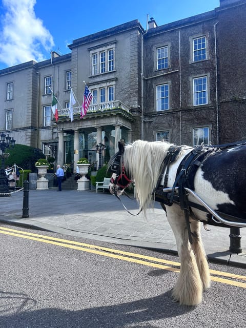 Killarney National Park Tour - Frequently Asked Questions