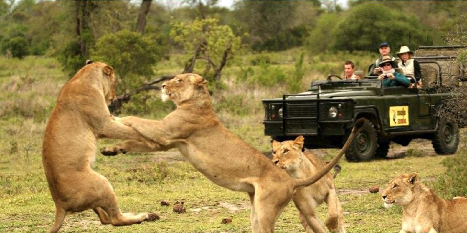 Kruger National Park 3 Day Safari Fr Johannesburg & Pretoria - Frequently Asked Questions