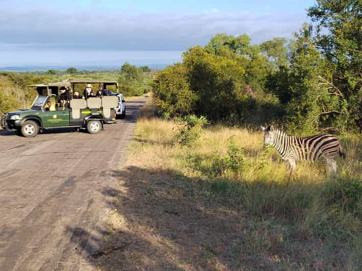 Kruger National Park Half Day - The Sum Up