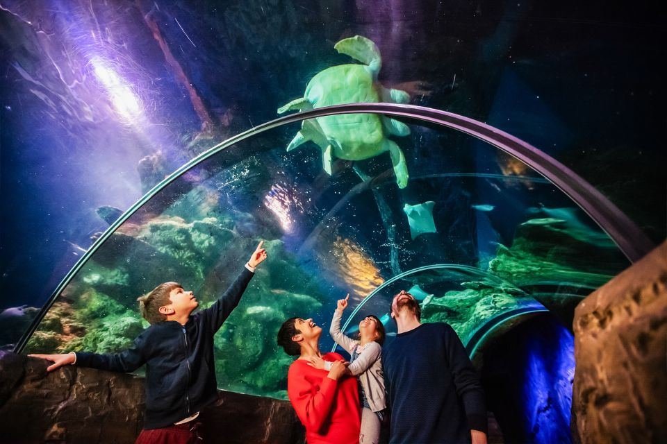 London: SEA LIFE Entry Ticket - Frequently Asked Questions