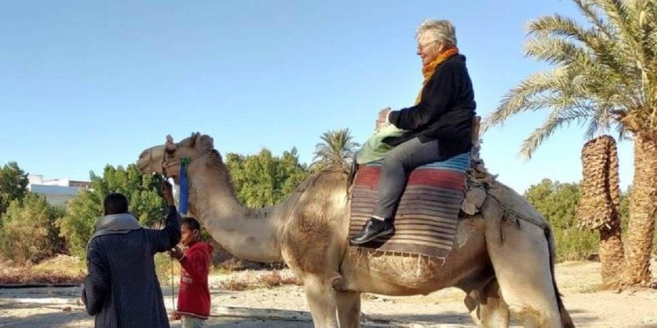 Luxor: Scenic Camel or Horse Ride - The Sum Up