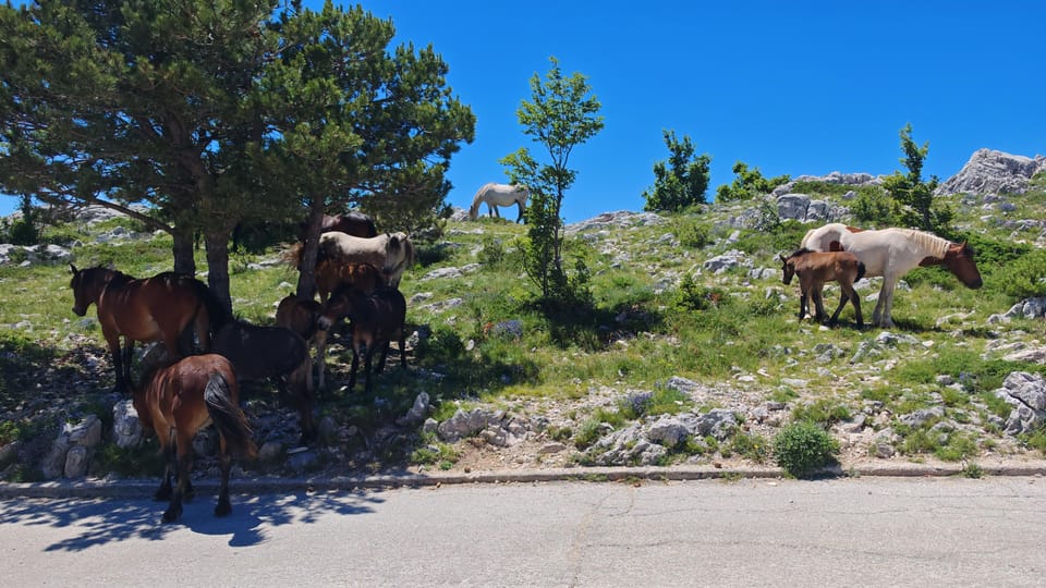 Makarska Skywalk Biokovo Tour - Frequently Asked Questions