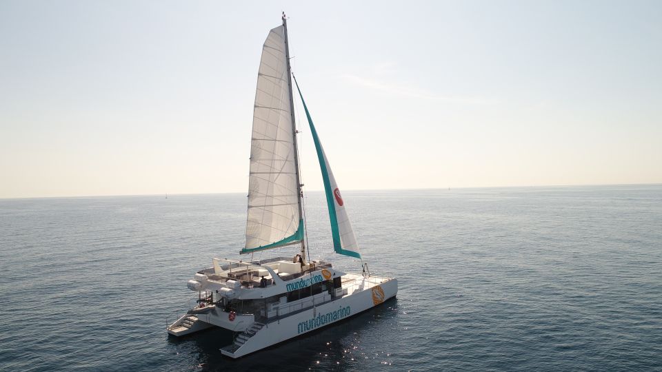 Malaga: Catamaran Sailing Trip With Sunset Option - Frequently Asked Questions