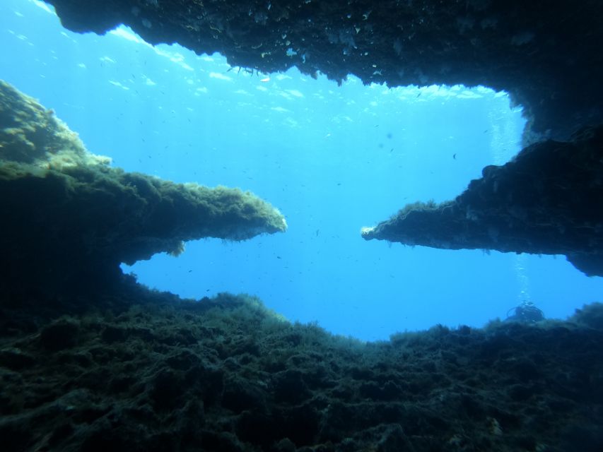 Malta: St. Pauls Bay 1 Day Scuba Diving Course - Frequently Asked Questions