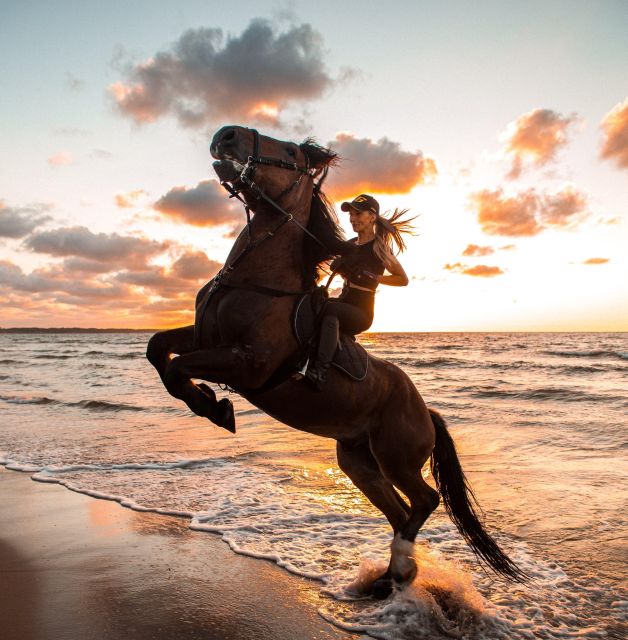 Marsa Alam: Sea and Desert Horse Riding Tour - Frequently Asked Questions