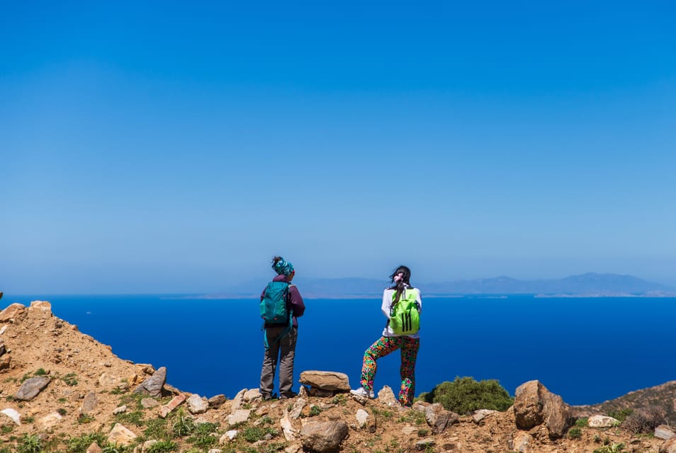 Meet the Trees in Cyclades Hiking (Small Group Experience) - Frequently Asked Questions