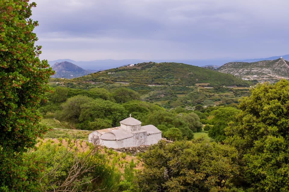 Meet the Trees in Cyclades Hiking Tour (Private Experience) - Frequently Asked Questions