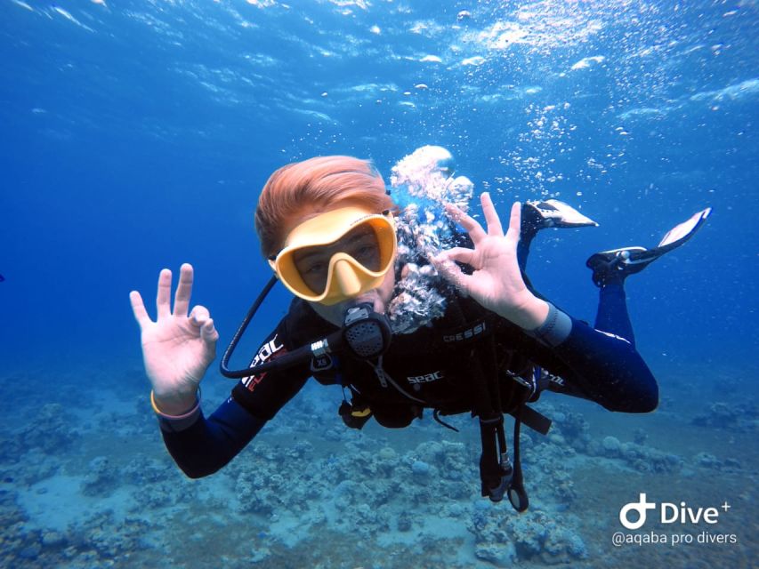 Pivate Scuba Diving in the Red Sea of Aqaba - The Sum Up