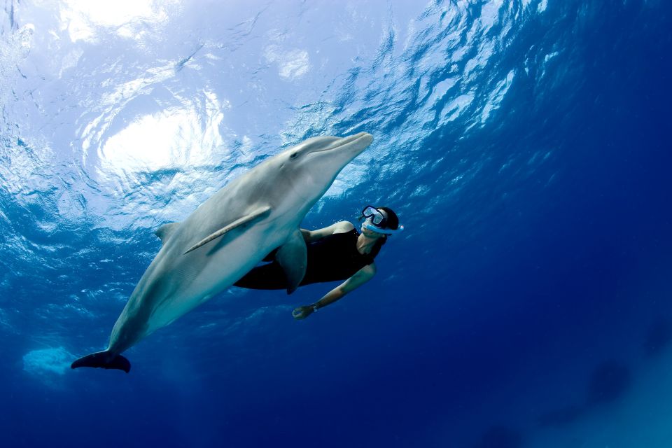 Port Ghalib: Sataya Reefs Dolphin Snorkel Cruise With Lunch - Booking and Cancellation Policies