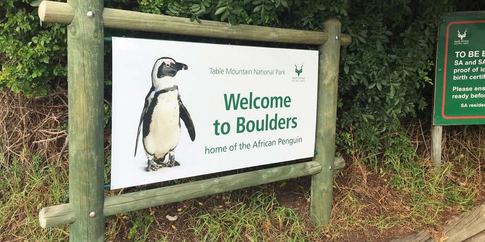 Private Tour Of Cape Peninsula and Boulders Beach Penguins - The Sum Up