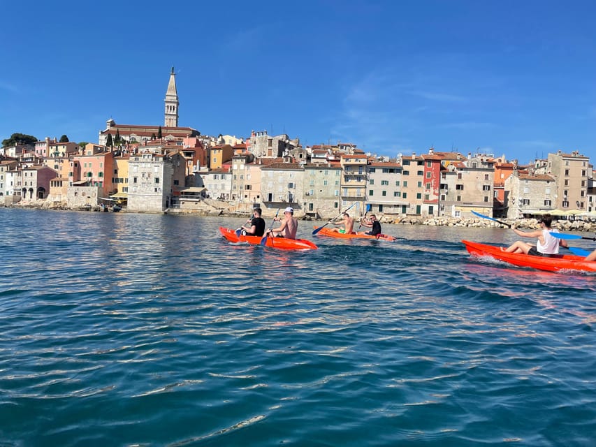 Rovinj: BUBA-KAYAK Tours, Snorkeling, Cliff Jupming&Drinks - The Sum Up