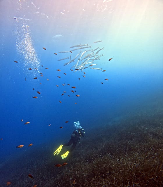 Scuba Diving in the Volcanic Caldera/shorelines of Santorini - Frequently Asked Questions