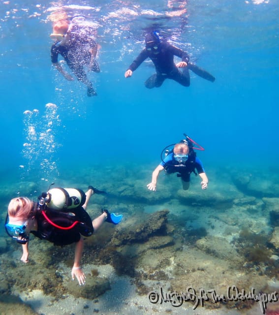 Scuba Diving Kolymbia Rhodes Greece - Frequently Asked Questions