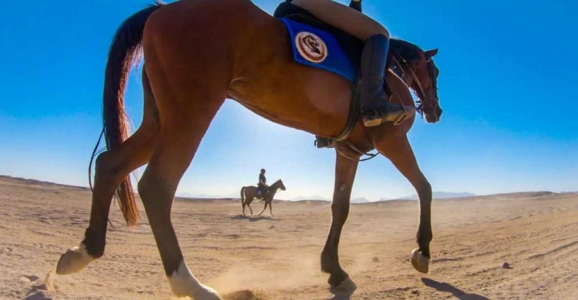 Sharm: ATV Safari, Horse Ride & Camel Ride With Breakfast - Frequently Asked Questions