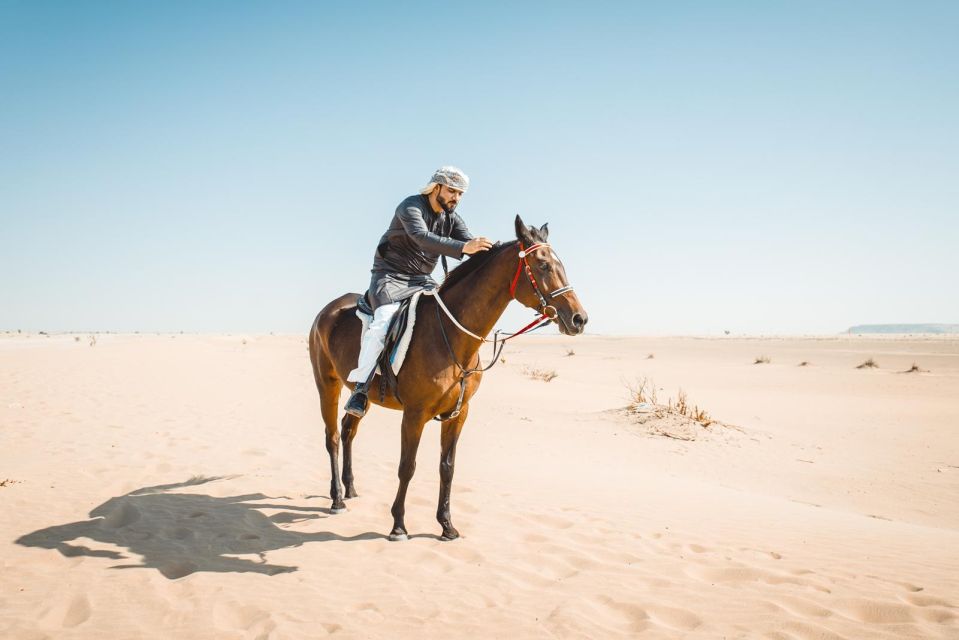 Sharm: Desert Adventures ATV, Buggy, Horse Ride & Camel Ride - Frequently Asked Questions